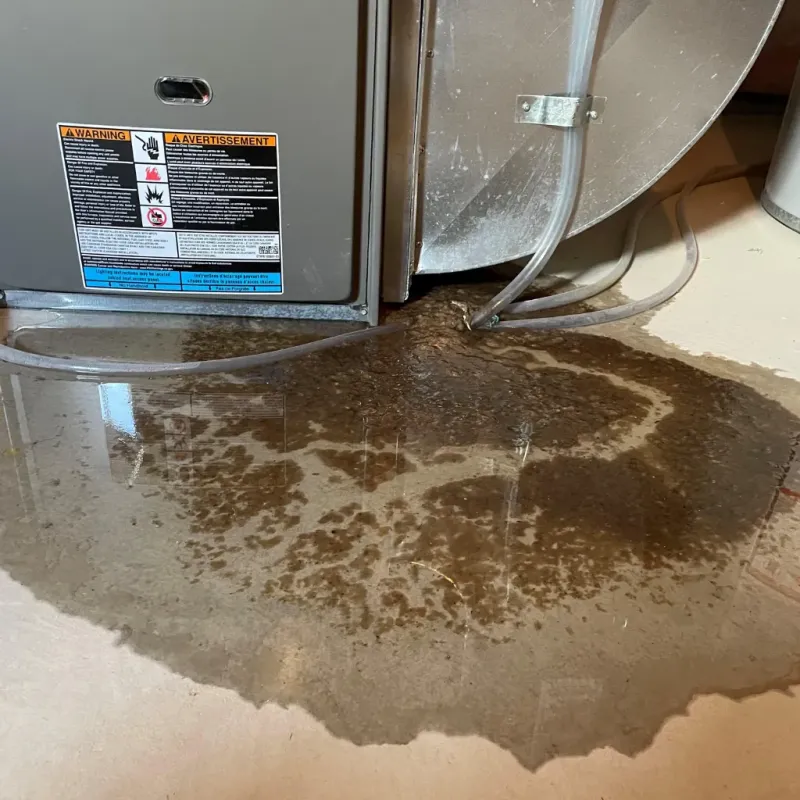 Appliance Leak Cleanup in Makawao, HI