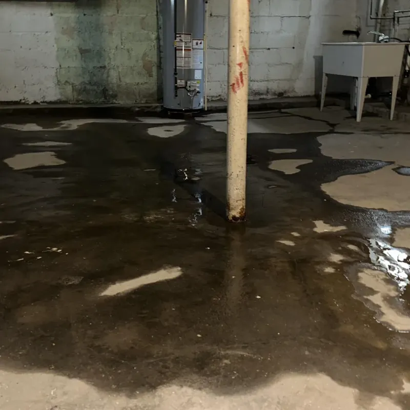 Emergency Water Extraction And Removal in Makawao, HI